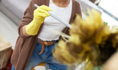 Почему швабра не спасёт, если в доме нет системы