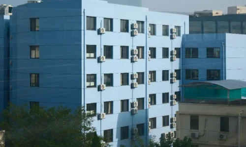 Почему парковые зоны становятся главной ценностью при покупке недвижимости